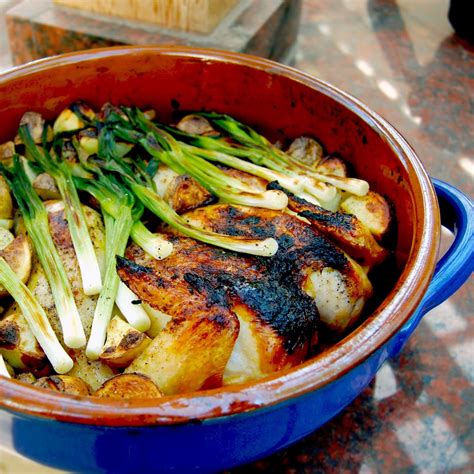 Chicago Brick Oven CBO-500 Built-In Wood Fired Residential Outdoor ...