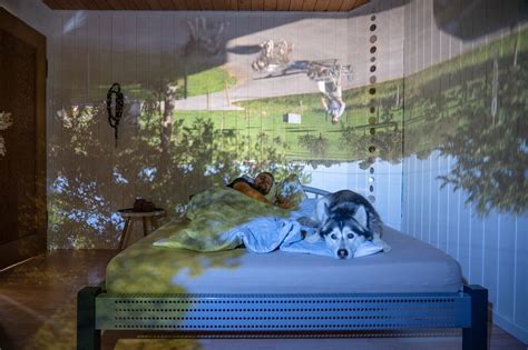 Camera Obscura Example 的图像结果