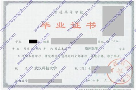 中方院校本科毕业证书样本、学位证书样本-东北大学悉尼智能科技学院 | SSTC, NEU