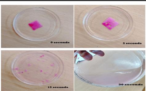 Fig. 2: In vitro disintegration study of formulation F4