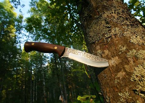 Best Bushcraft Knife in 2025 (REVIEW GUIDE)