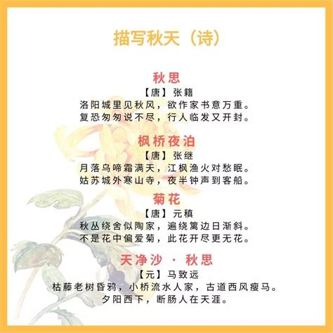 描写秋菊的诗句有哪些（关于秋菊的诗句古诗词） - 重庆小潘seo博客