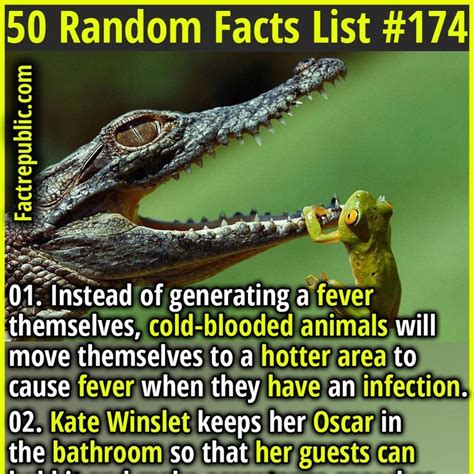 Image result for Random Facts List