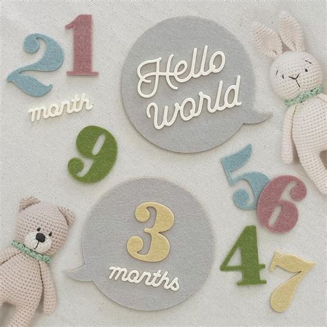 Buy Curious Felt Baby Monthly Milestone Signs – Newborn Monthly Growth ...