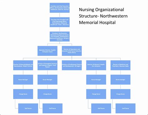 9 Hospital organizational Chart - SampleTemplatess - SampleTemplatess