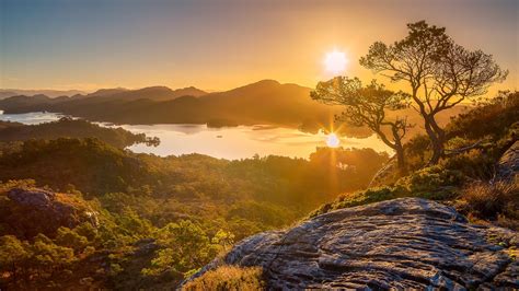 Nature Background 的图像结果