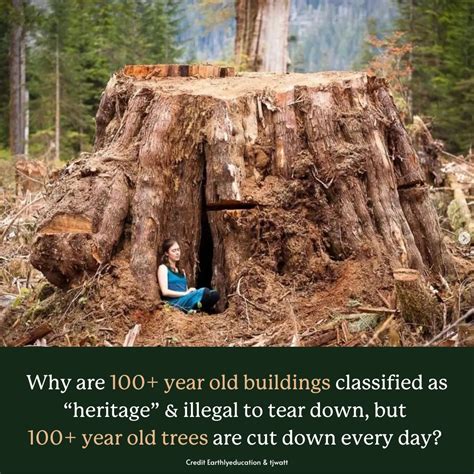 The Vital Ecological, Biodiversity, Ecosystem Support, Other Values and Multifaceted Functions ...