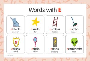 Common Words in Spanish that Start with E