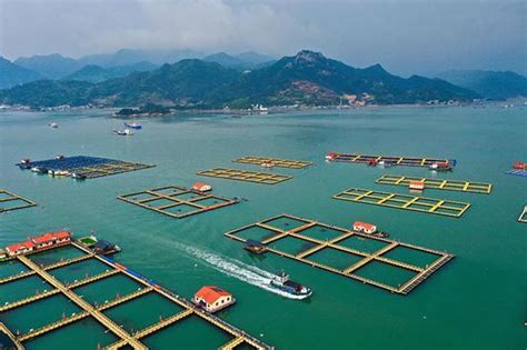 福建宁德市寿宁县县城航拍素材_3840X2160_高清视频素材下载(编号:4962685)_实拍视频_光厂(VJ师网) www.vjshi.com