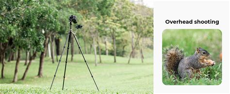 Tripod Photography 的图像结果