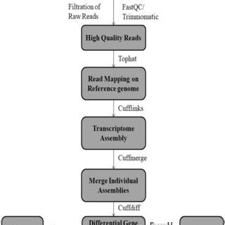 RNA Sequencing 的图像结果