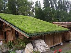 Living Roof by What You Didn T About Green Roofs Conscious Living Tv Living Roof