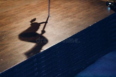 Image result for Striptease Pole Dance