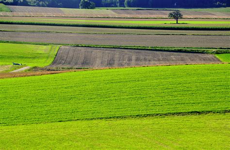 Rural Area 的图像结果