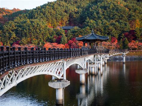 Discover Andong: South Korea’s Cultural Capital | Flamingo Travels