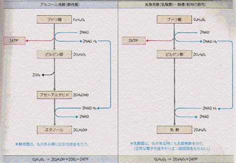 Image result for Multimolality Learning Alignment