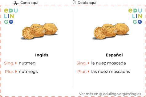 Que Es Nuts En Ingles at Linda Smail blog