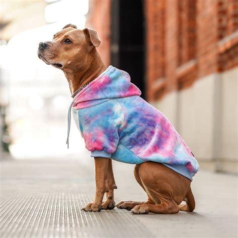 Velvet Dog Hoodie - Snow Cone – SPARK PAWS