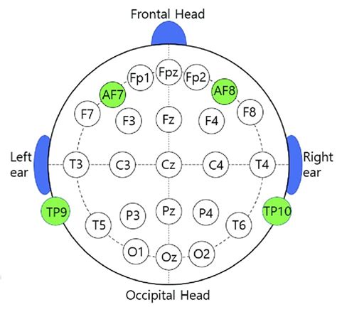 Understanding the Strategic Placement of Sensors on EEG devices | Naxon