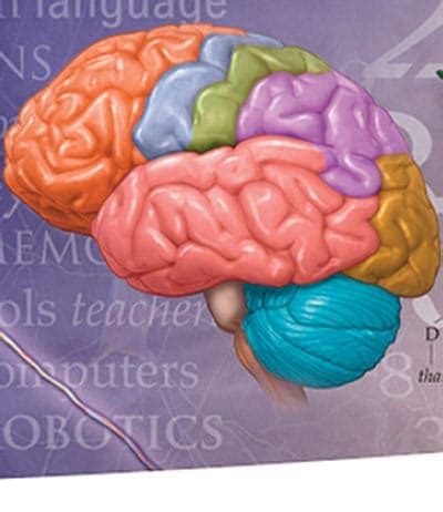 Science of Learning 的图像结果