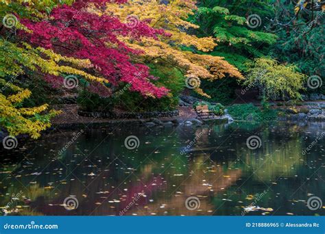 Lithia Park by the Lake in the Autumn, Pond Stock Image - Image of pond ...