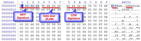 Image result for CorelDRAW Format