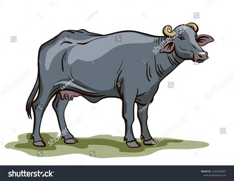 Buffalo Clip Art Black White