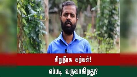 Reasons For Kidney Stone,சிறுநீரகத்தில் கல் உருவாகுவதற்கு என்ன காரணம் ...