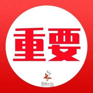 随时待命！身穿厚重防蜂服，大连这群小伙“专捅马蜂窝”｜24小时,时事,事故灾难,好看视频