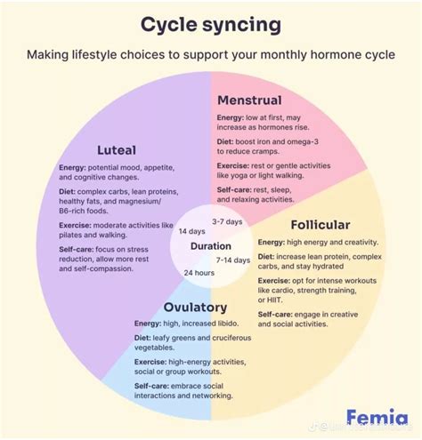Pin by Valeria on Ciclo in 2025 | Menstrual cycle phases, Menstrual, Menstrual cycle