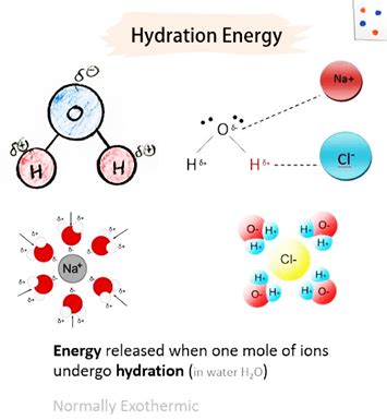 Why are lithium salts commonly hydrated and those of the other alkali ...