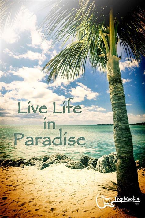 Image result for Script for Paradise Life