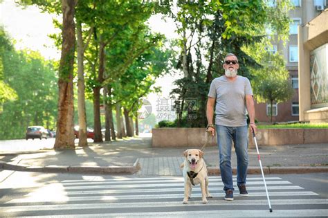 带导盲犬过马路的盲人成年男子高清图片下载-正版图片502989653-摄图网
