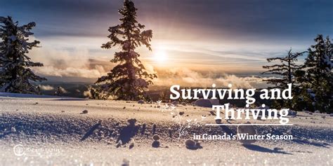 Surviving Winter With An Orgasmic Drive-Thru