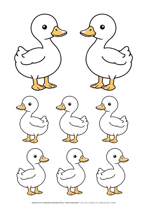 Duck Family Coloring Pages