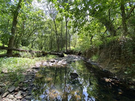 Rabbitt Road Stream Restoration | Gaithersburg, MD