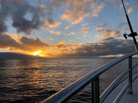 UFO Parasail (2026) - All You MUST Know Before You Go (with Reviews)