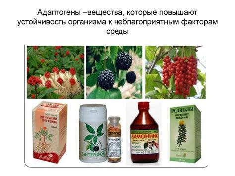 Препараты растительного происхождения список