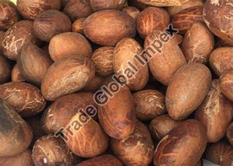Bitter Kola Exporter,Wholesale Bitter Kola Supplier from Gurgaon India
