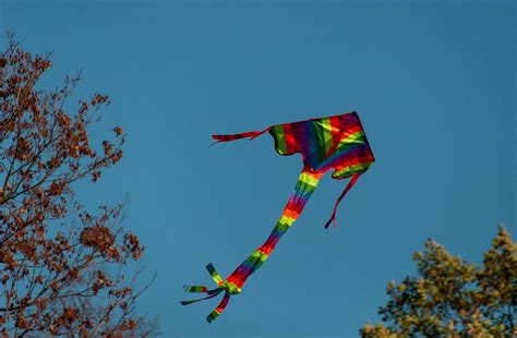 Image result for Kite Python