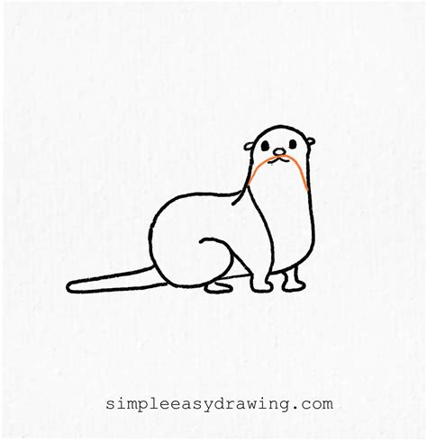 How to draw a otter step by step (with pictures) | Simple Easy Drawing - Simple Easy Drawing