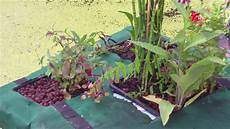 Schritt Fuer Schritt Gartenteich Selber schwimmende pflanzinsel f 252 r den gartenteich selber bauen Schritt Fuer Schritt Gartenteich Selber schwimmende pflanzinsel f 252 r den gartenteich selber bauen