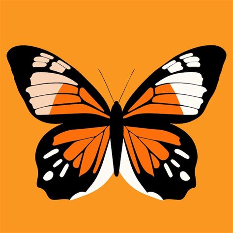 Image result for Magic Flying Butterfly Pattern