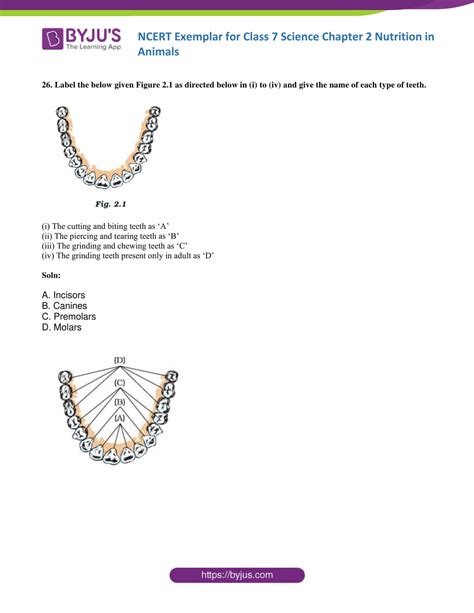 Class 7 Science Chapter Number 2 3 的图像结果