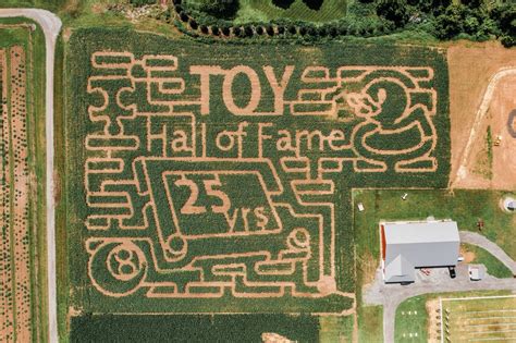 Sunflower Spectacular and corn maze opens Thursday at Wickham Farms ...