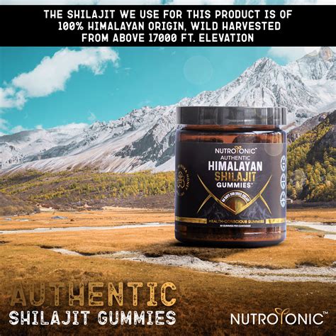 Authentic Himalayan Shilajit Gummies Sweetened with Organic Manuka Hon– NUTROTONIC