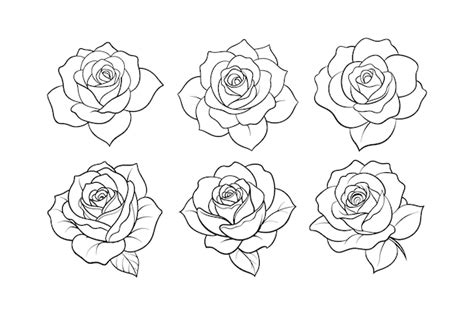 Rose flower design labeled linocut silhouette illustration | Premium Vector
