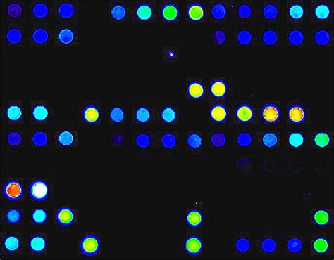 Image result for Microarray Scanner