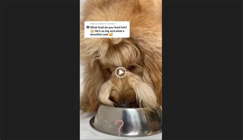 Native Advertising Strategy: How and When to Use It - Blog