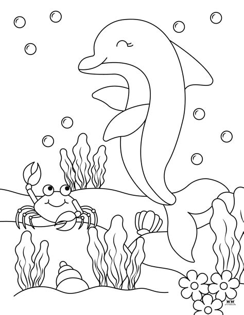 Dolphin Printable Coloring Pages